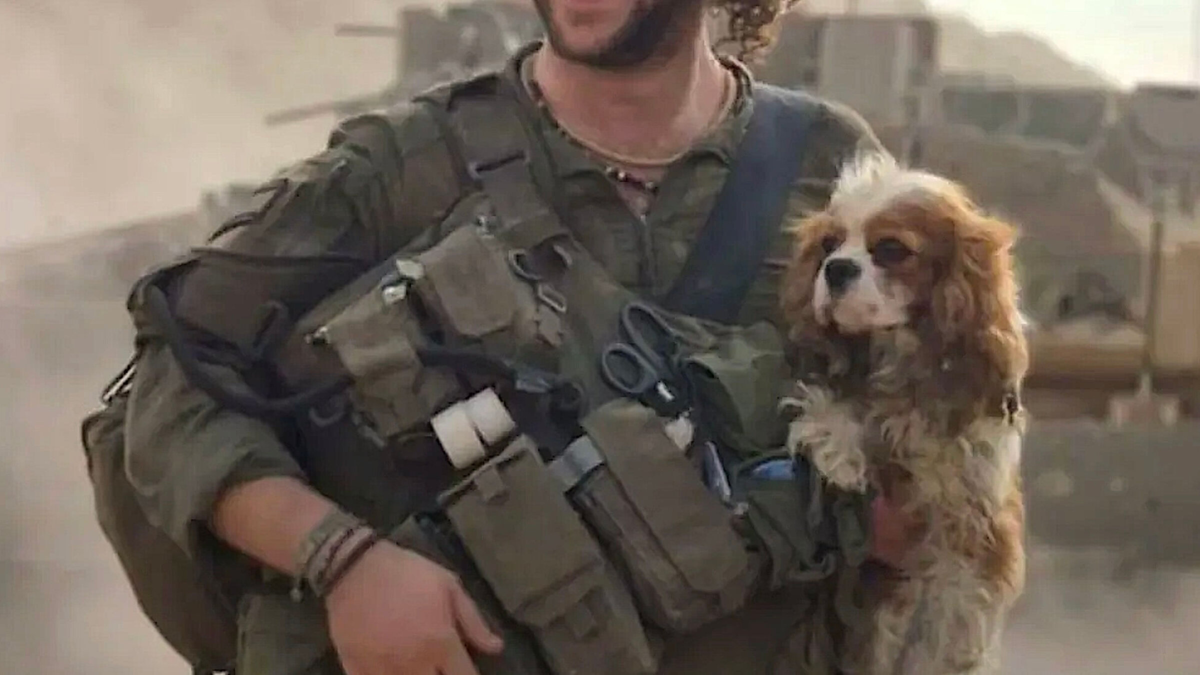 אַ צה״ל־סאָלדאַט מיטן הינטל, בילי, איידער מע האָט עס אומגעקערט צו זײַנע אייגנטימער